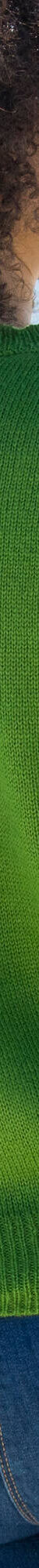 Pull col rond finitions écailles (vert) Pull col rond finitions écailles (vert)